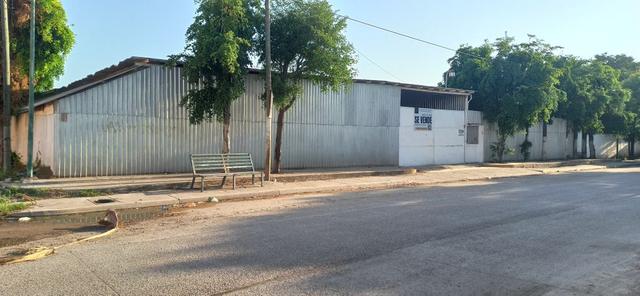 Foto de la galeria de imagenes